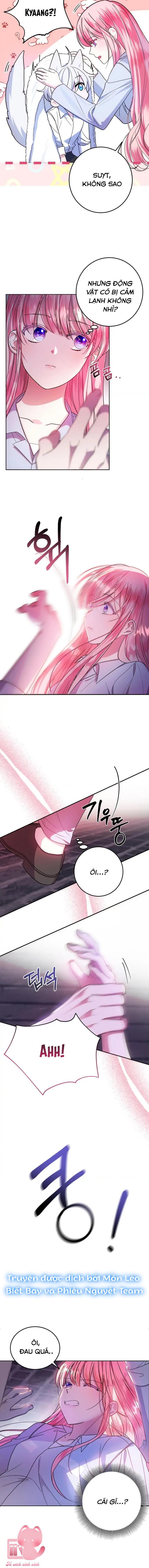 Tôi Gặp Nam Chính Trong Tù Chapter 5 - Trang 4