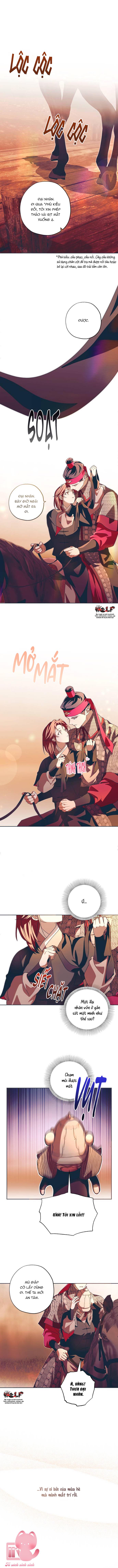 Dabi, Hương Vị Ngây Ngất Chap 51 - Trang 3