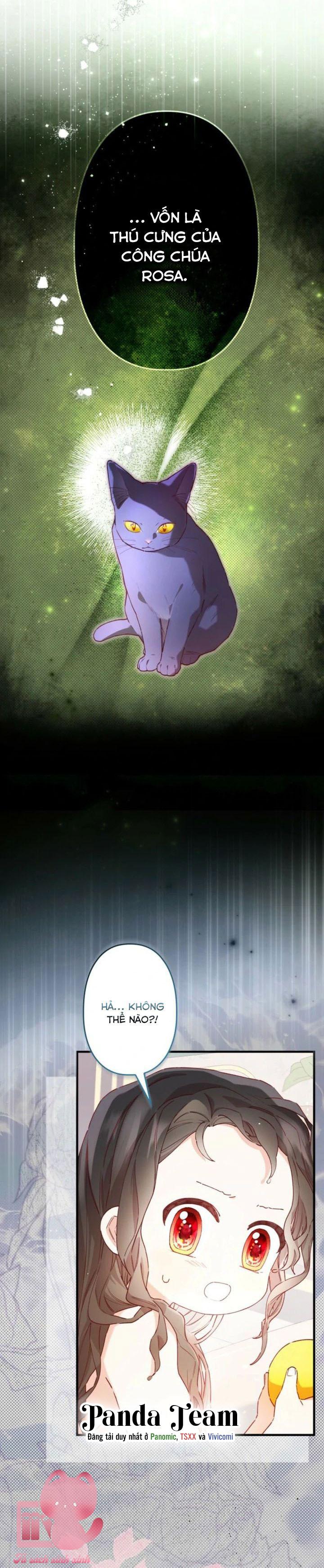 Kiếp Này Em Sẽ Không Sống Dưới Cái Bóng Của Người Chị Song Sinh Chap 8 - Trang 3