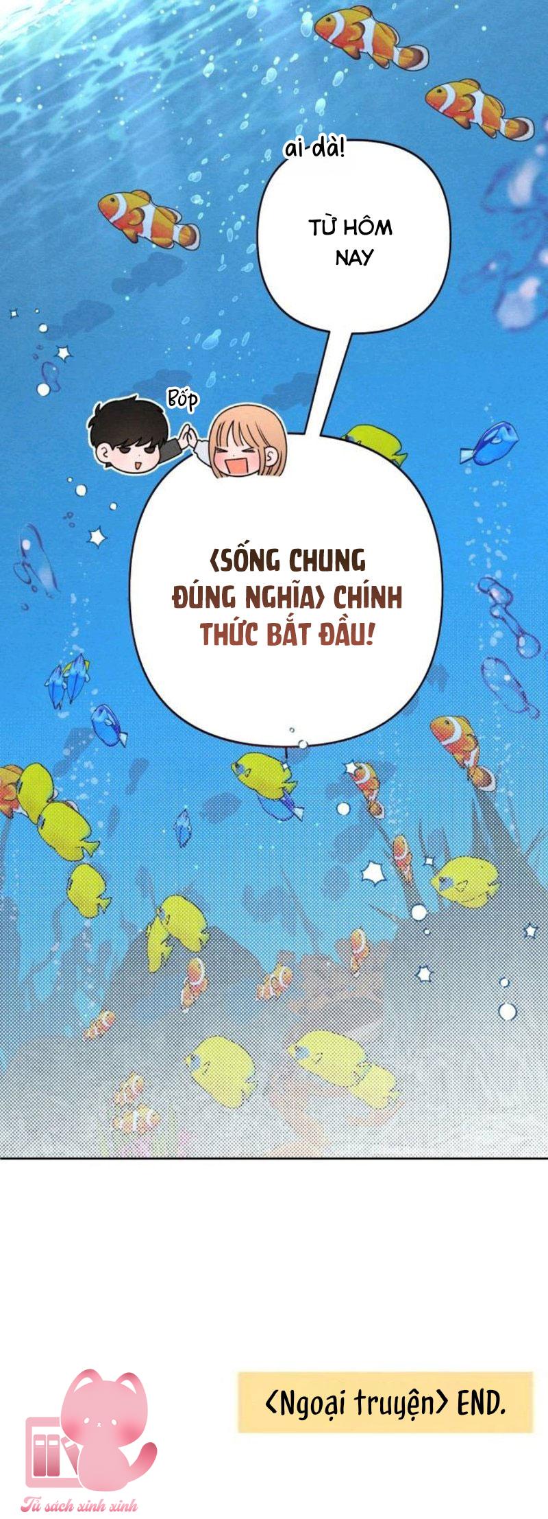 Bí Mật Thanh Xuân Chap NT3 - Next Chapter 1