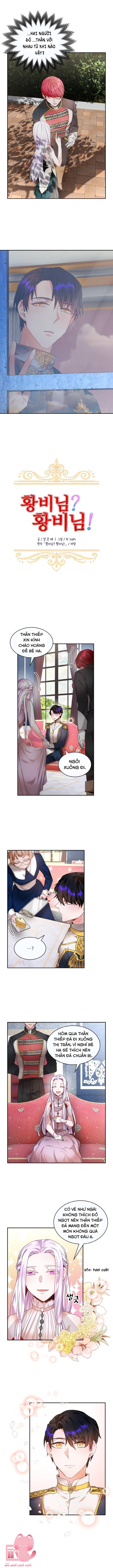 Tôi Không Muốn Trở Thành Hoàng Hậu Chapter 4 - Trang 4