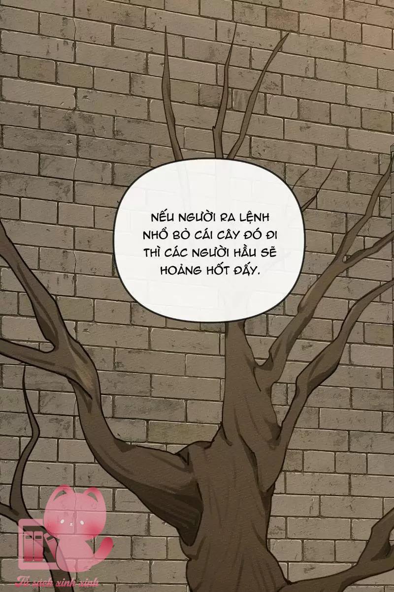 Dưới Tán Cây Sồi Chapter 18 - Trang 3