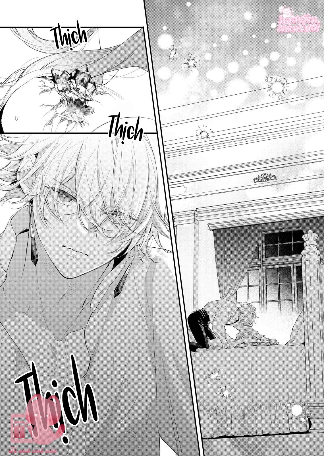 Hoa Hồng Ẩn Giấu Sao Băng Chapter 8 - Trang 4