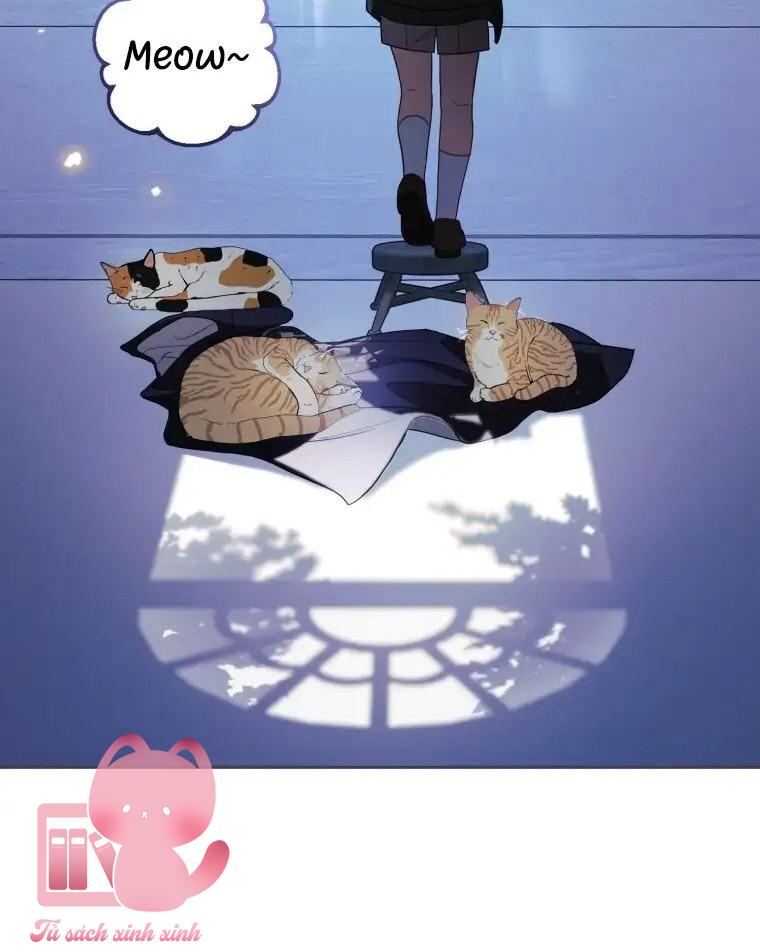 Được Yêu Thương Mà Còn Ngại Ngùng Sao! Chapter 74 - Trang 4