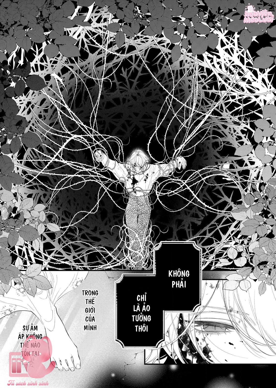 Hoa Hồng Ẩn Giấu Sao Băng Chapter 8 - Trang 4