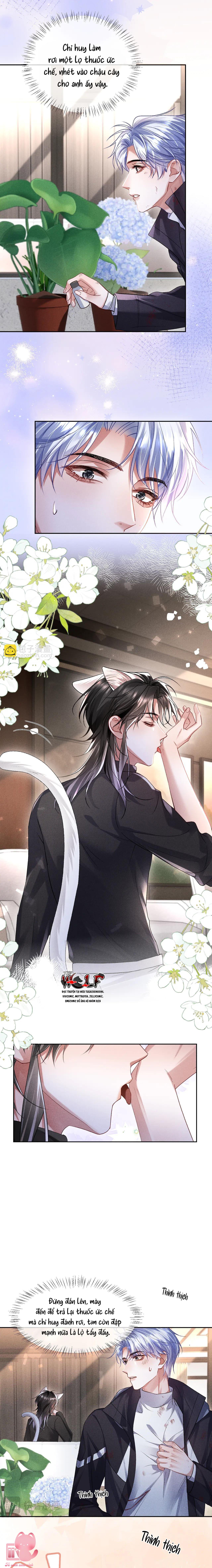 Chỉ Huy Lạnh Lùng Lại Mít Ướt Khi Yêu Chap 11 - Trang 3