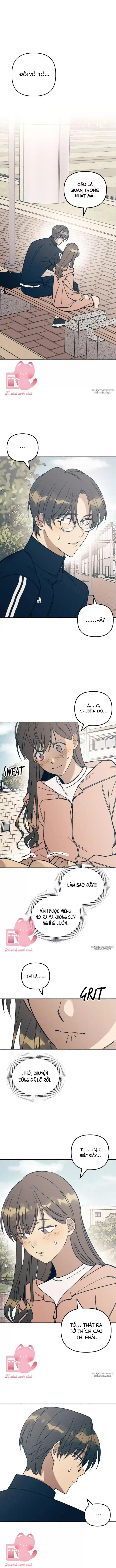 Tình Đầu Đáng Ghét Chap 21 - Trang 2