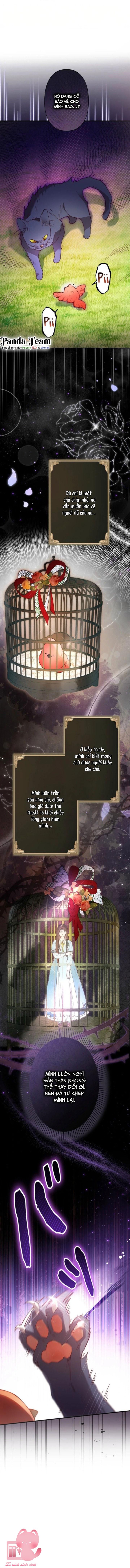 Kiếp Này Em Sẽ Không Sống Dưới Cái Bóng Của Người Chị Song Sinh Chap 6 - Trang 3