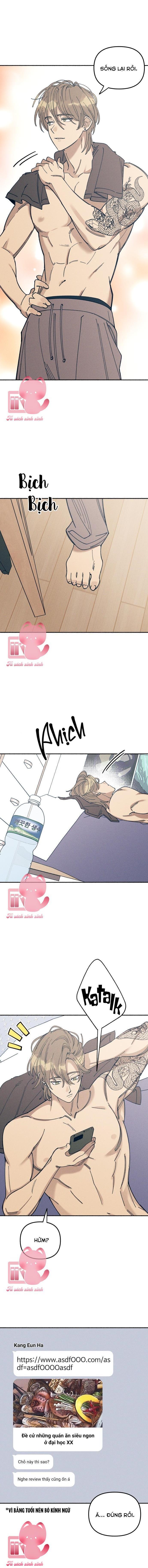 Tình Đầu Đáng Ghét Chap 10 - Trang 2