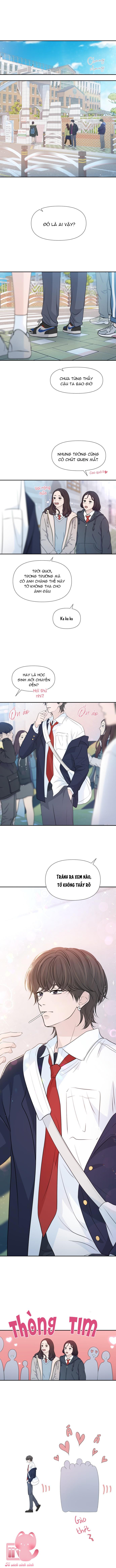 Lời Tỏ Tình Đi Lạc Chapter 60 - Trang 4