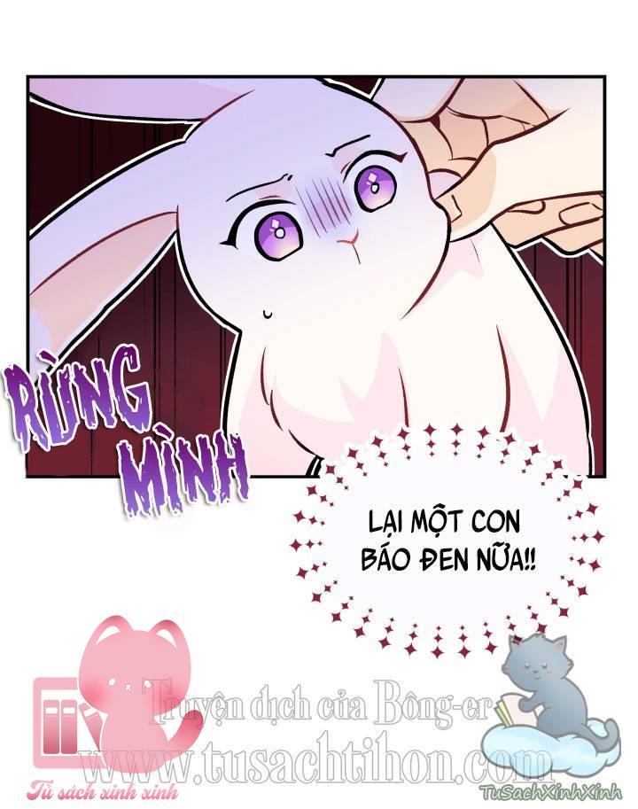Quan Hệ Cộng Sinh Giữa Báo Đen Và Thỏ Trắng Chap 2 - Trang 2