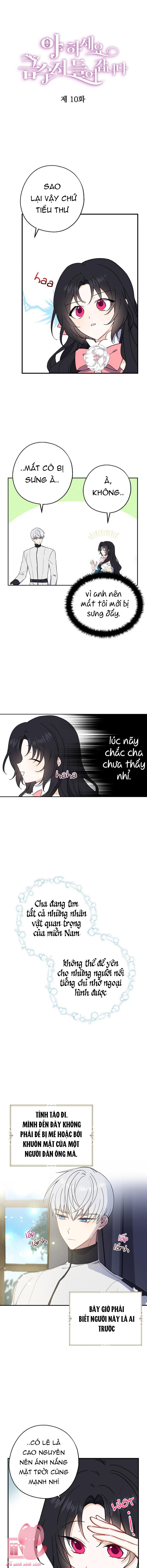A Nào, Ngậm Thìa Vàng Nhé? Chap 10 - Next Chap 11