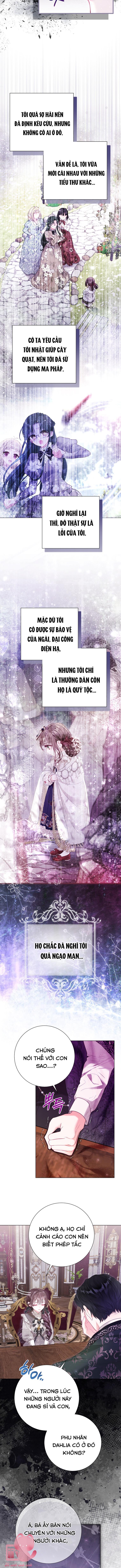 Một Thế Giới Không Có Chị Gái Mà Ai Cũng Yêu Chap 41 - Trang 4