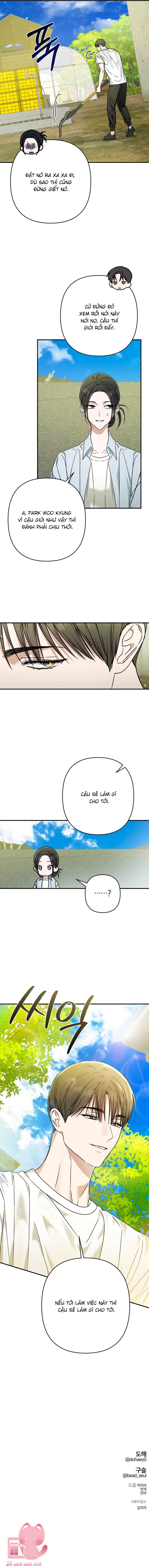 Bóng Râm Mùa Xuân Chap 28 - Next Chapter 28.2