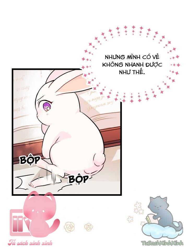 Quan Hệ Cộng Sinh Giữa Báo Đen Và Thỏ Trắng Chap 8 - Trang 2
