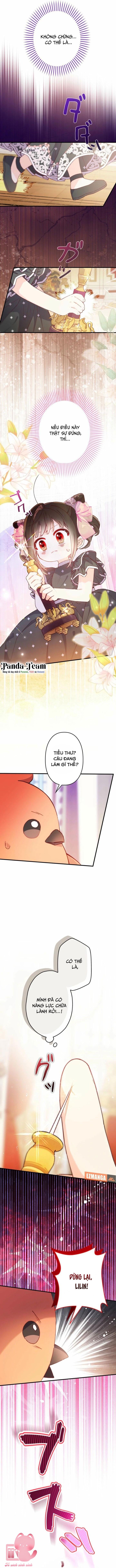 Kiếp Này Em Sẽ Không Sống Dưới Cái Bóng Của Người Chị Song Sinh Chap 13 - Trang 3