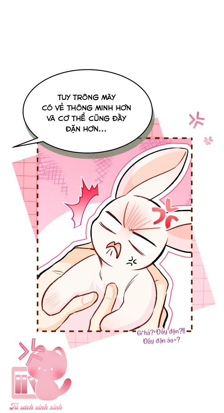 Quan Hệ Cộng Sinh Giữa Báo Đen Và Thỏ Trắng Chap 128 - Trang 2