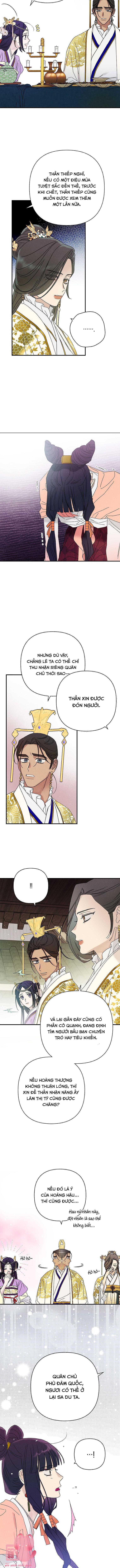 Quốc Hôn Chapter 54 - Trang 4