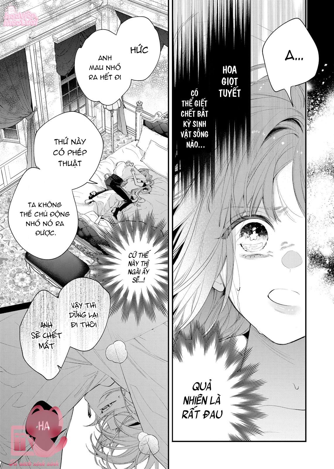 Hoa Hồng Ẩn Giấu Sao Băng Chapter 8 - Trang 4