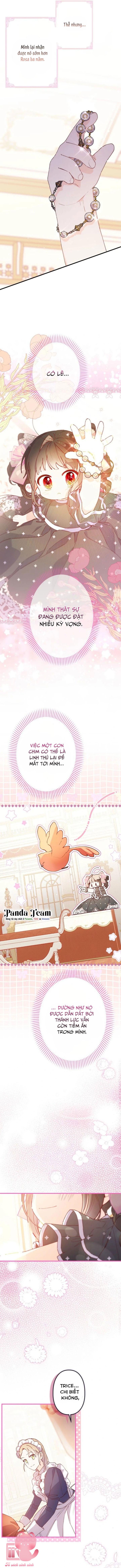 Kiếp Này Em Sẽ Không Sống Dưới Cái Bóng Của Người Chị Song Sinh Chap 14 - Trang 3