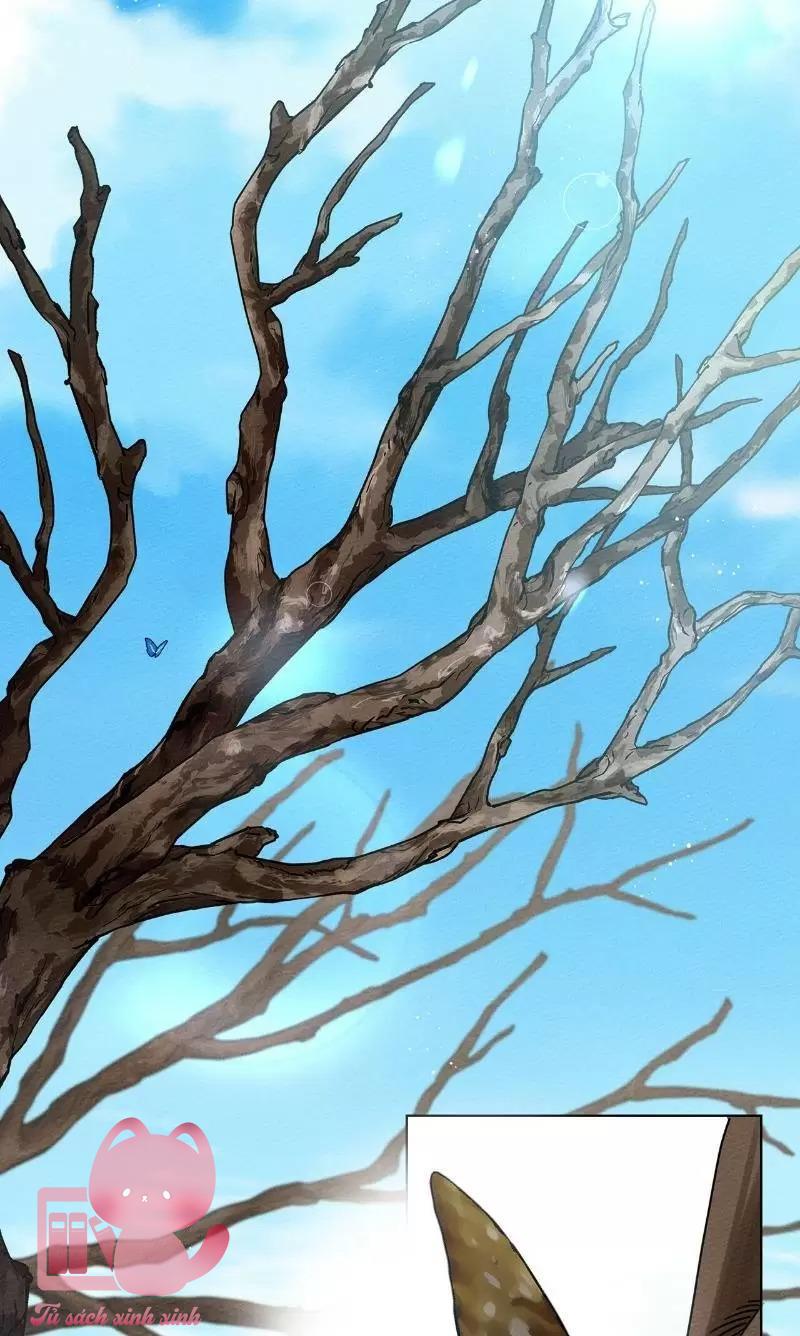 Dưới Tán Cây Sồi Chapter 16 - Trang 3