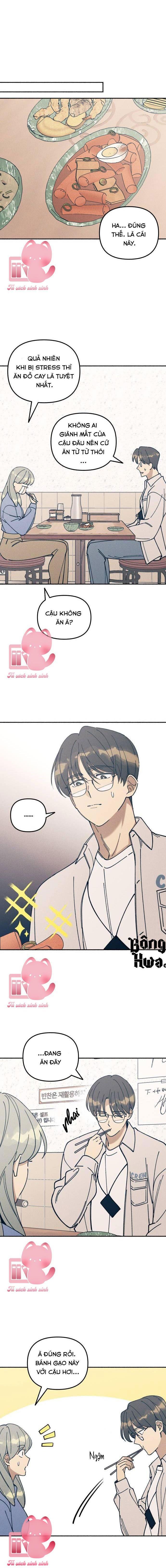 Tình Đầu Đáng Ghét Chap 14 - Trang 2