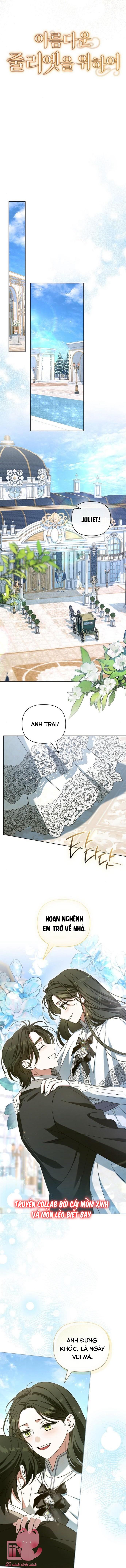 Dành Cho Nàng Juliet Xinh Đẹp Chap 12 - Trang 4