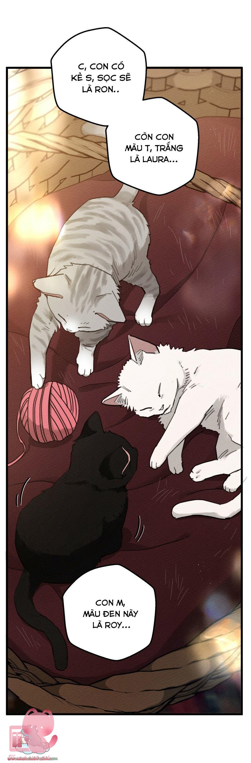 Dưới Tán Cây Sồi Chap 46 - Trang 2