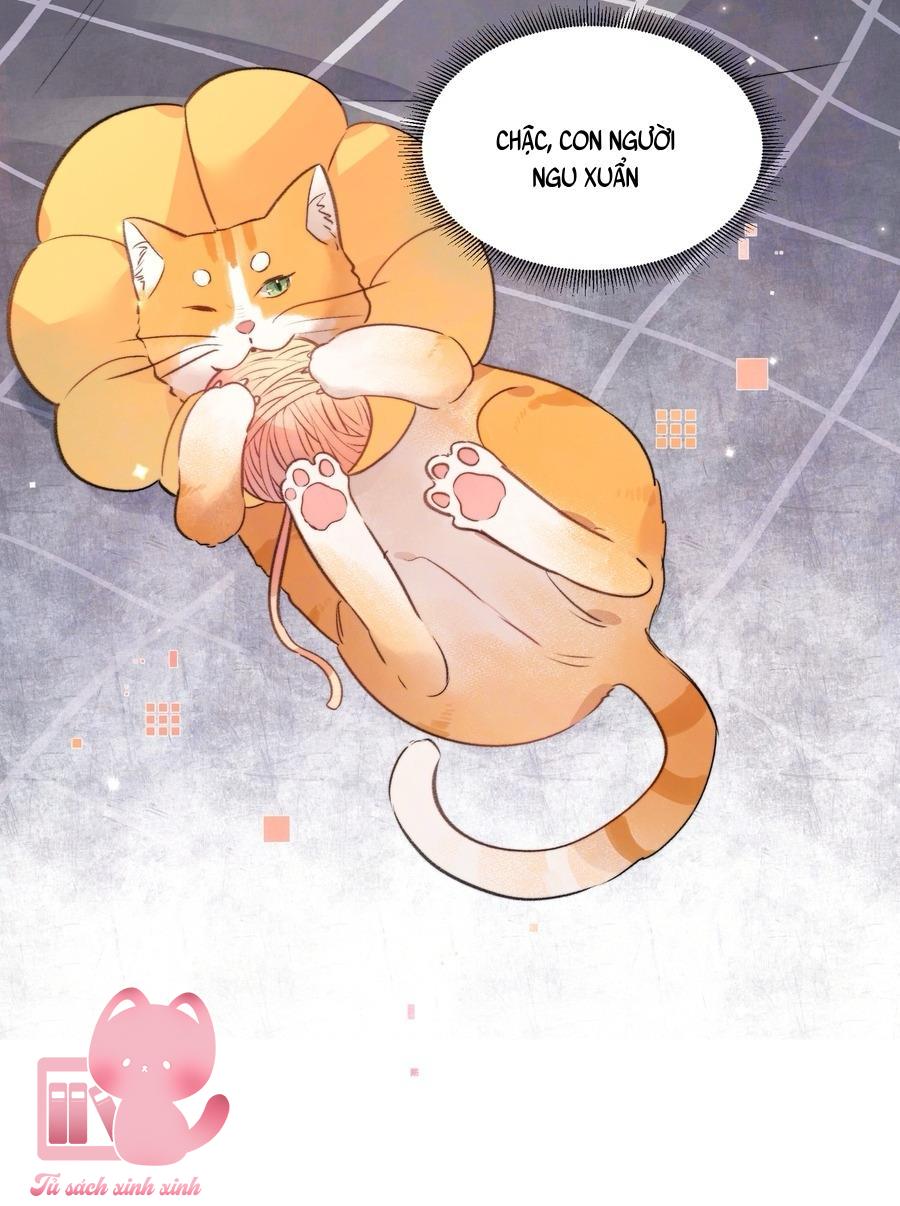 Tỏ Tình Chapter 52 - Trang 4