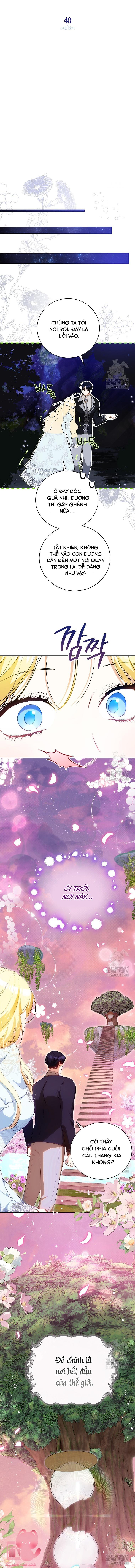 Hình Như Tôi Đã Xuyên Vào Cuốn Tiểu Thuyết Nào Đó Chapter 40 - Next Chapter 41