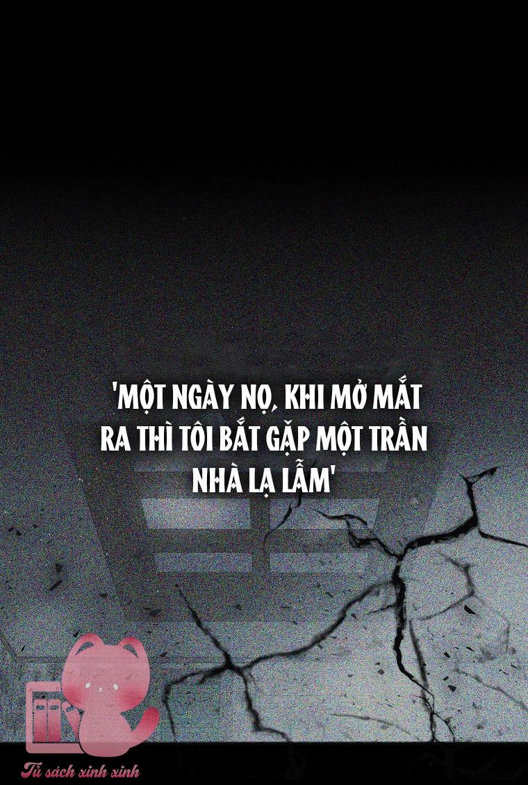 Debut Or Die Chapter 1 - Trang 4