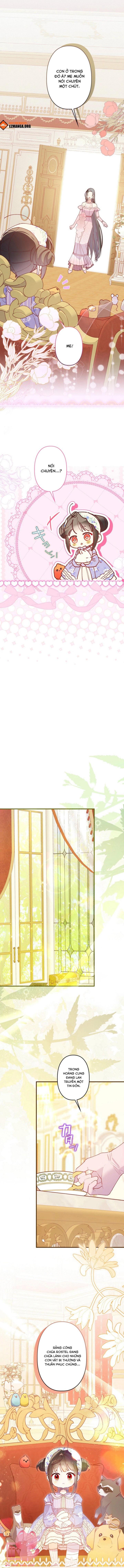 Kiếp Này Em Sẽ Không Sống Dưới Cái Bóng Của Người Chị Song Sinh Chap 26 - Trang 3