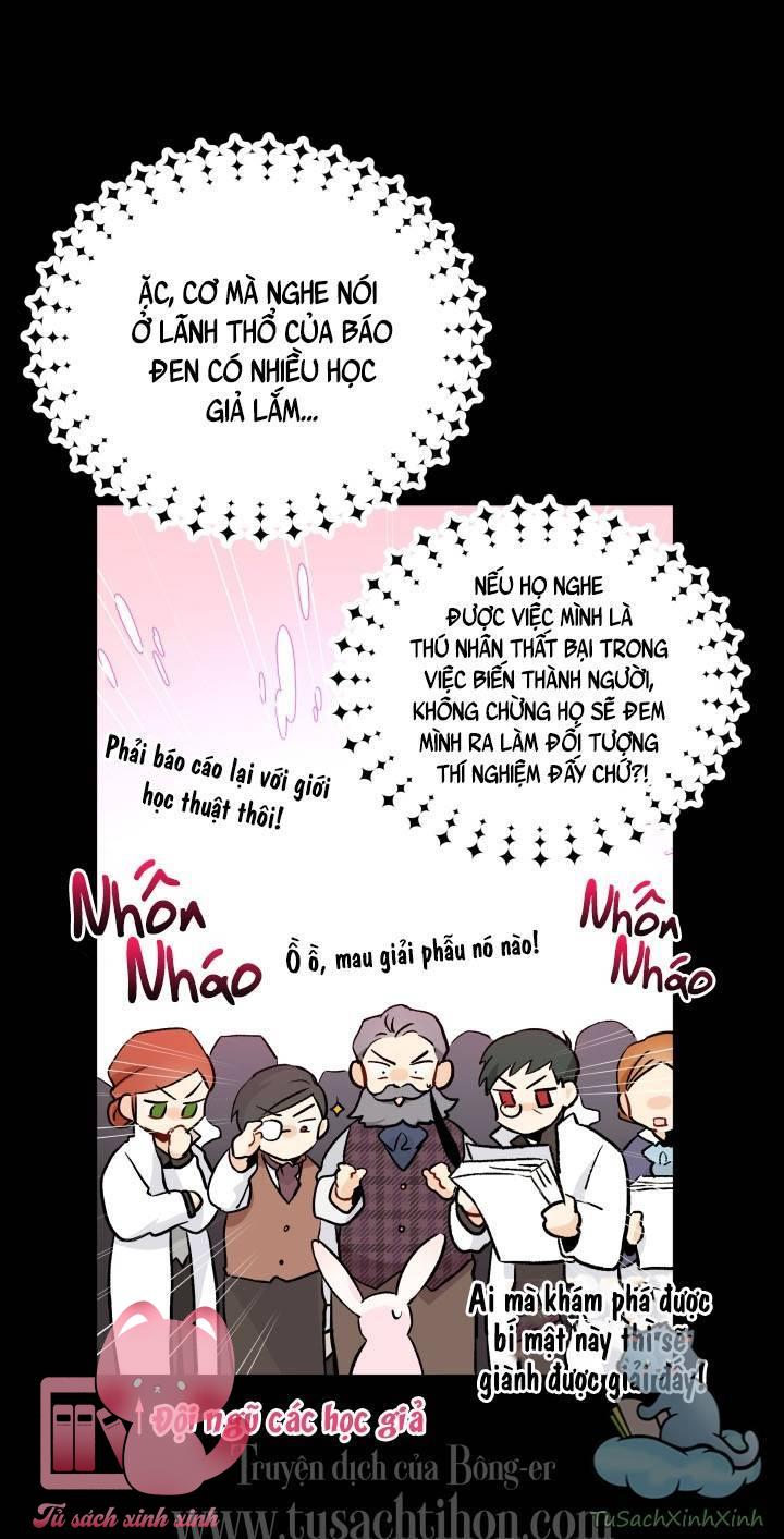 Quan Hệ Cộng Sinh Giữa Báo Đen Và Thỏ Trắng Chap 2 - Trang 2