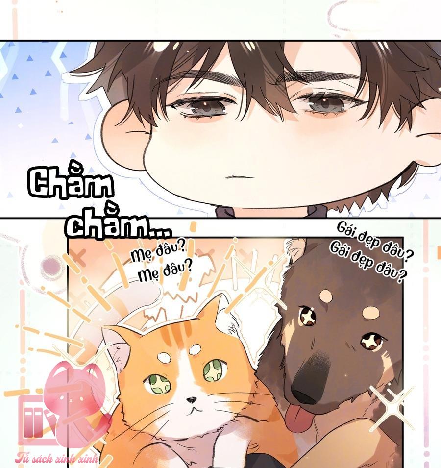 Tỏ Tình Chapter 54 - Next Chapter 54