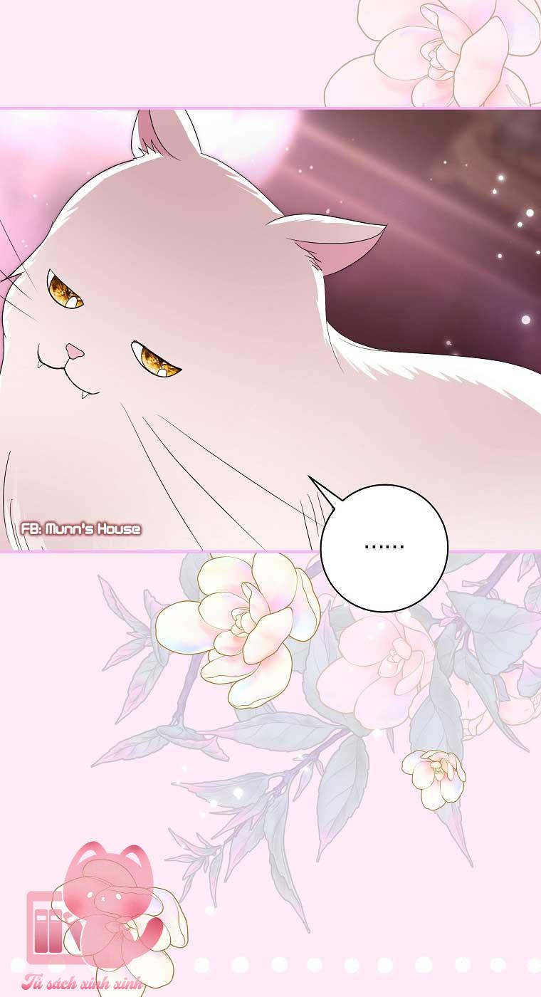 Này Boss Phản Diện, Tôi Có Thể Làm Mọi Thứ Trừ Cưới Ngài Chap 36 - Trang 4
