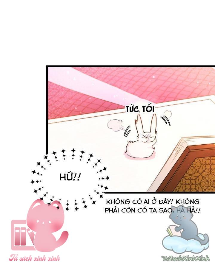Quan Hệ Cộng Sinh Giữa Báo Đen Và Thỏ Trắng Chap 8 - Trang 2