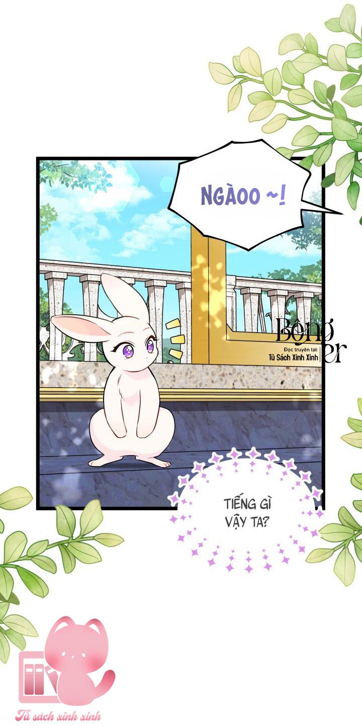 Quan Hệ Cộng Sinh Giữa Báo Đen Và Thỏ Trắng Chap 134 - Trang 2