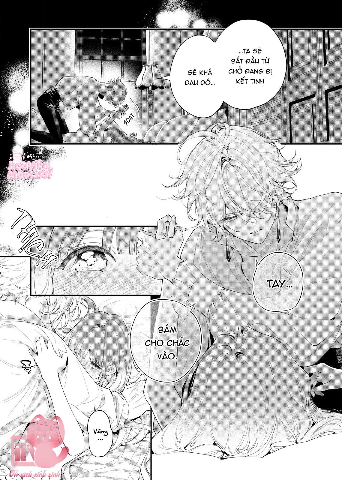 Hoa Hồng Ẩn Giấu Sao Băng Chapter 8 - Trang 4