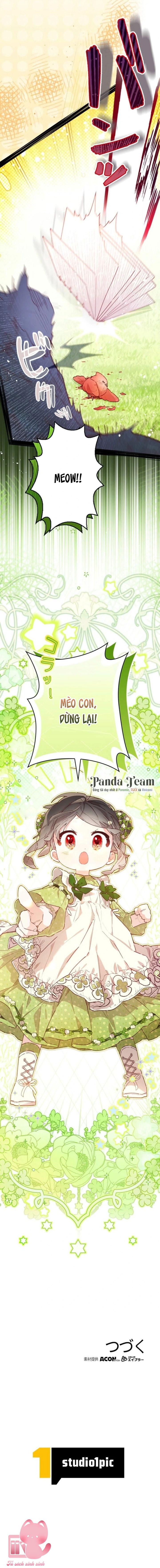 Kiếp Này Em Sẽ Không Sống Dưới Cái Bóng Của Người Chị Song Sinh Chap 5 - Trang 3