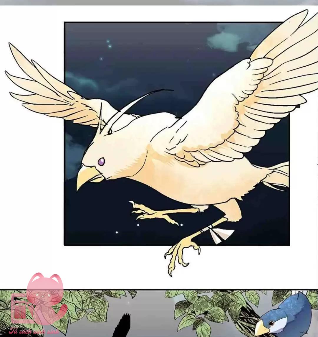 Hoàng Hậu Tái Hôn Chapter 8 - Trang 4