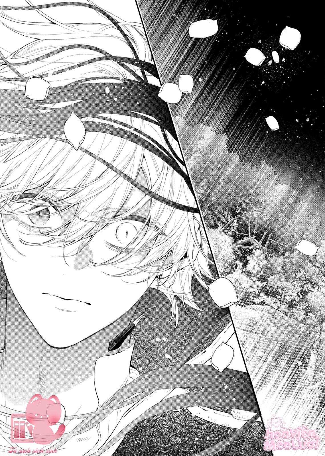 Hoa Hồng Ẩn Giấu Sao Băng Chapter 6 - Trang 4