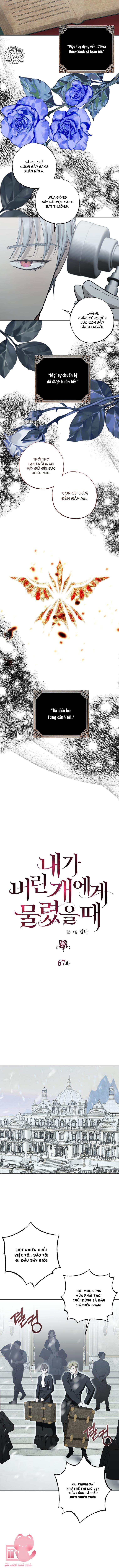Tôi Bị Cắn Bởi Chú Chó Tôi Đã Bỏ Rơi Chap 67 - Trang 4