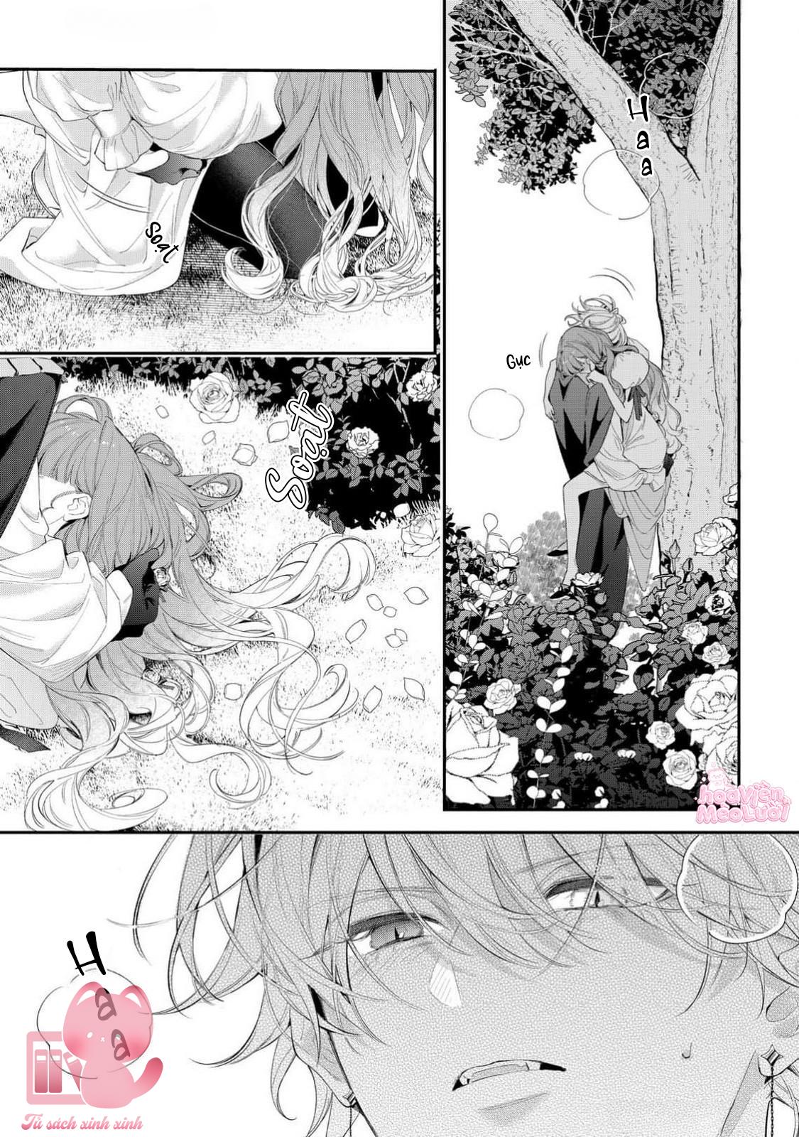 Hoa Hồng Ẩn Giấu Sao Băng Chapter 14 - Trang 4