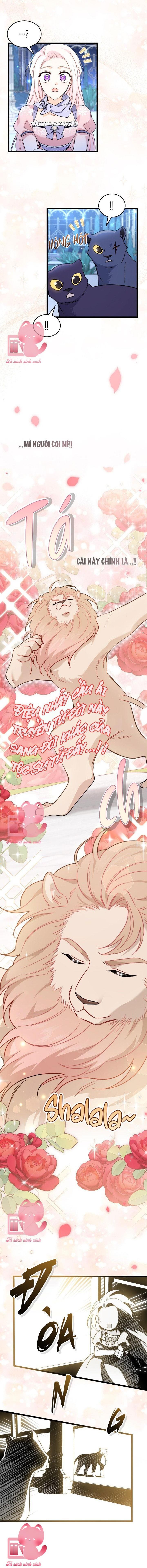 Quan Hệ Cộng Sinh Giữa Báo Đen Và Thỏ Trắng Chap 107 - Trang 2