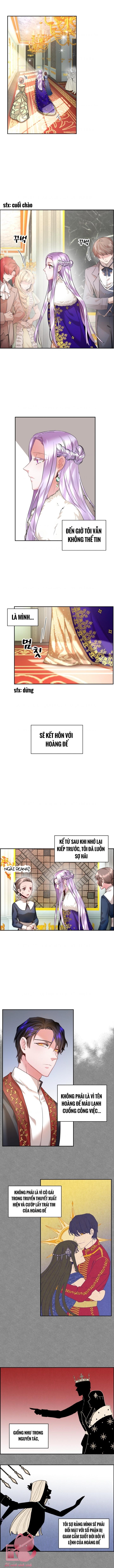 Tôi Không Muốn Trở Thành Hoàng Hậu Chapter 2 - Trang 4
