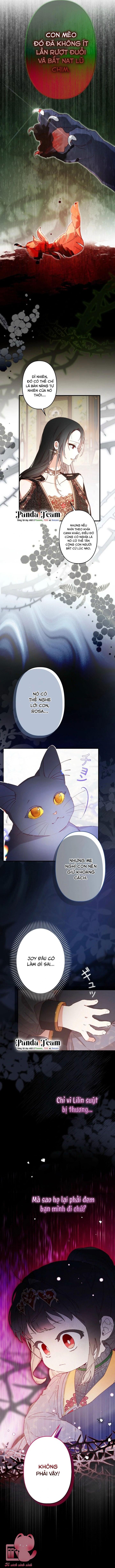 Kiếp Này Em Sẽ Không Sống Dưới Cái Bóng Của Người Chị Song Sinh Chap 7 - Trang 3