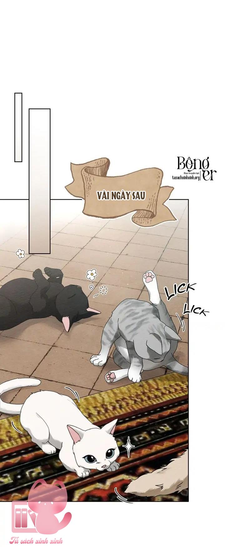 Dưới Tán Cây Sồi Chap 74 - Trang 2