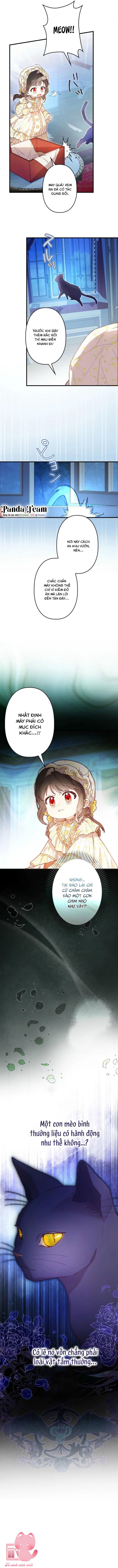 Kiếp Này Em Sẽ Không Sống Dưới Cái Bóng Của Người Chị Song Sinh Chap 7 - Trang 3