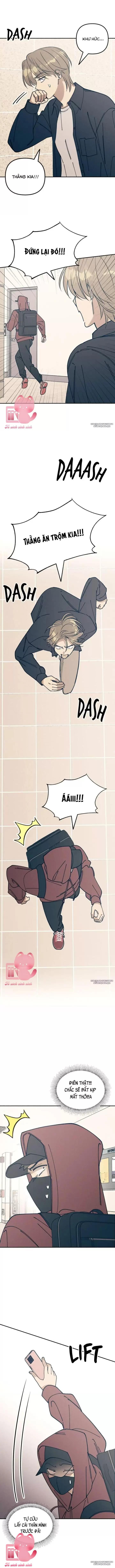 Tình Đầu Đáng Ghét Chap 21 - Trang 2