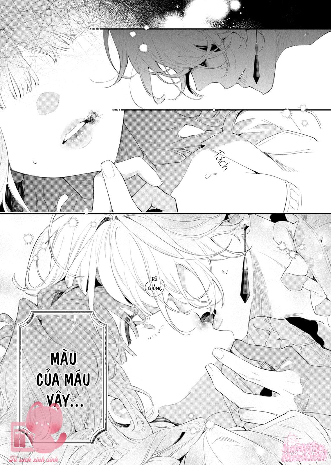 Hoa Hồng Ẩn Giấu Sao Băng Chapter 2 - Trang 4